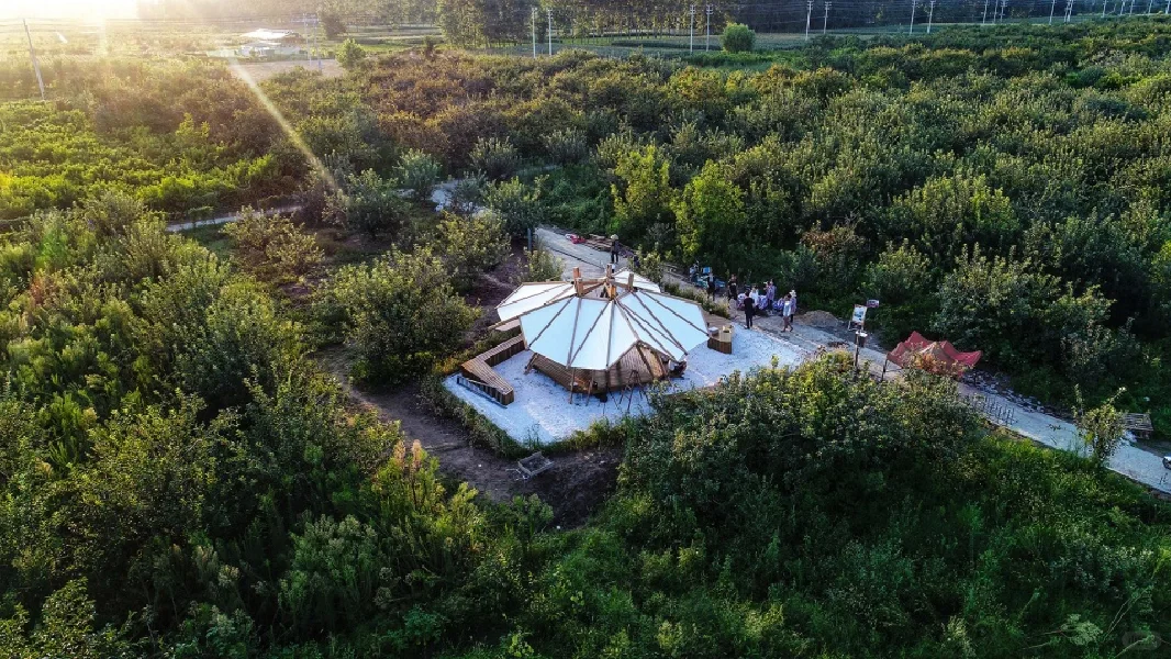 案例分享|绽放(主页有装置教程!)