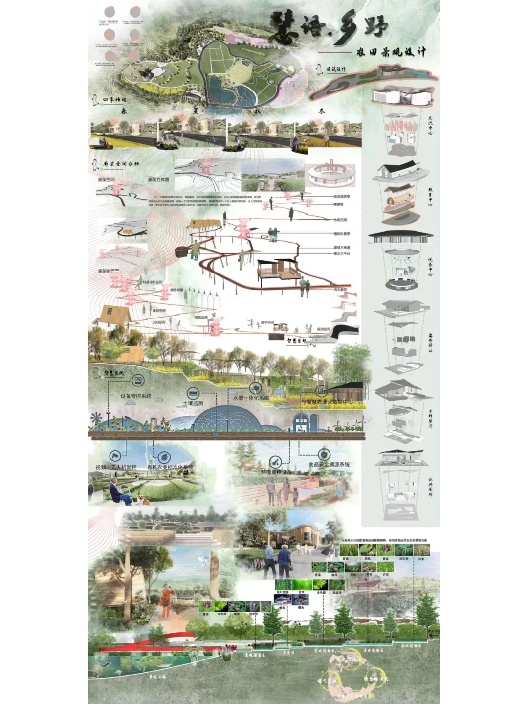景观设计 | 乡村振兴 | 毕业展板
