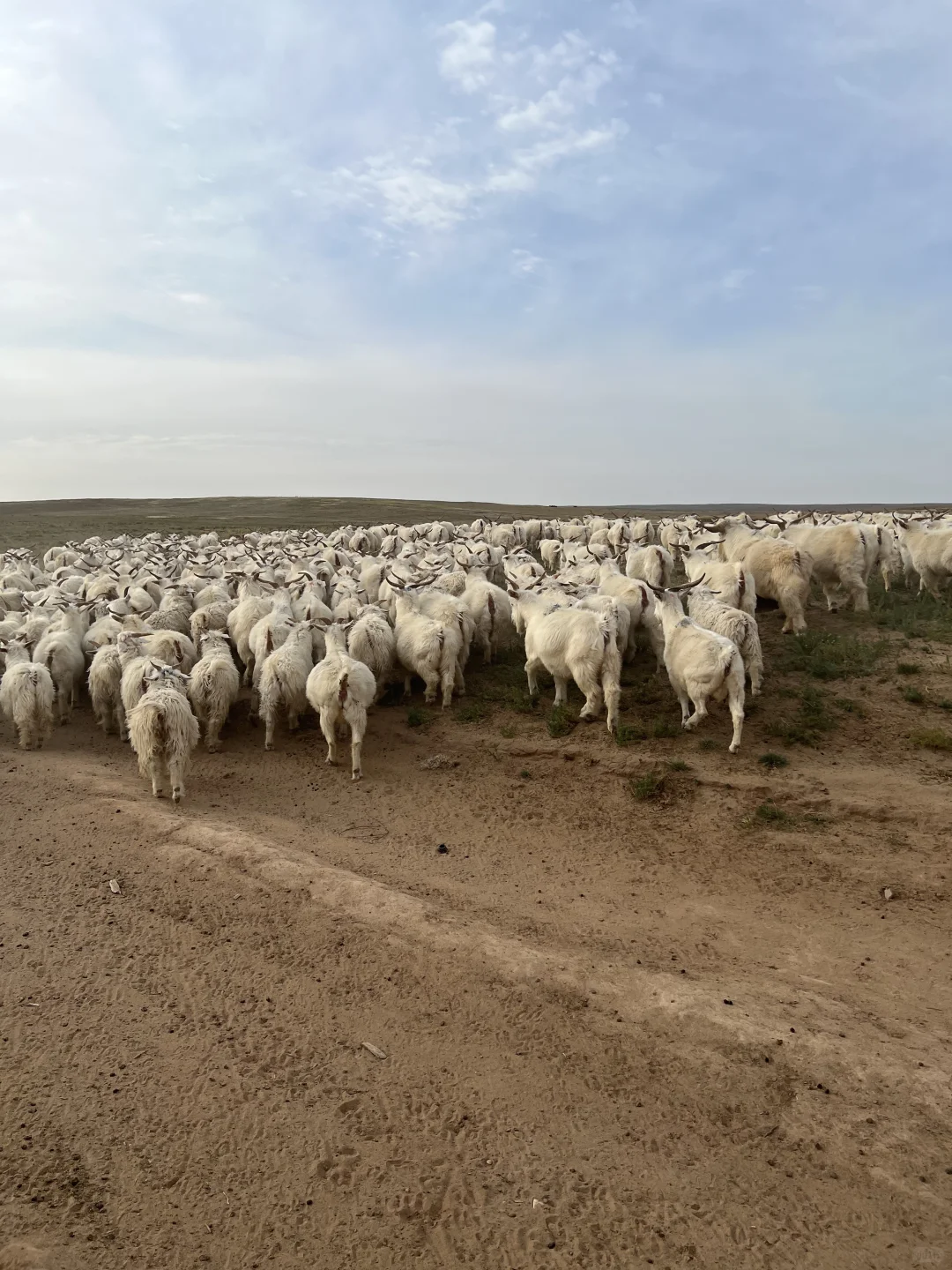 ����ʲô����ģ���