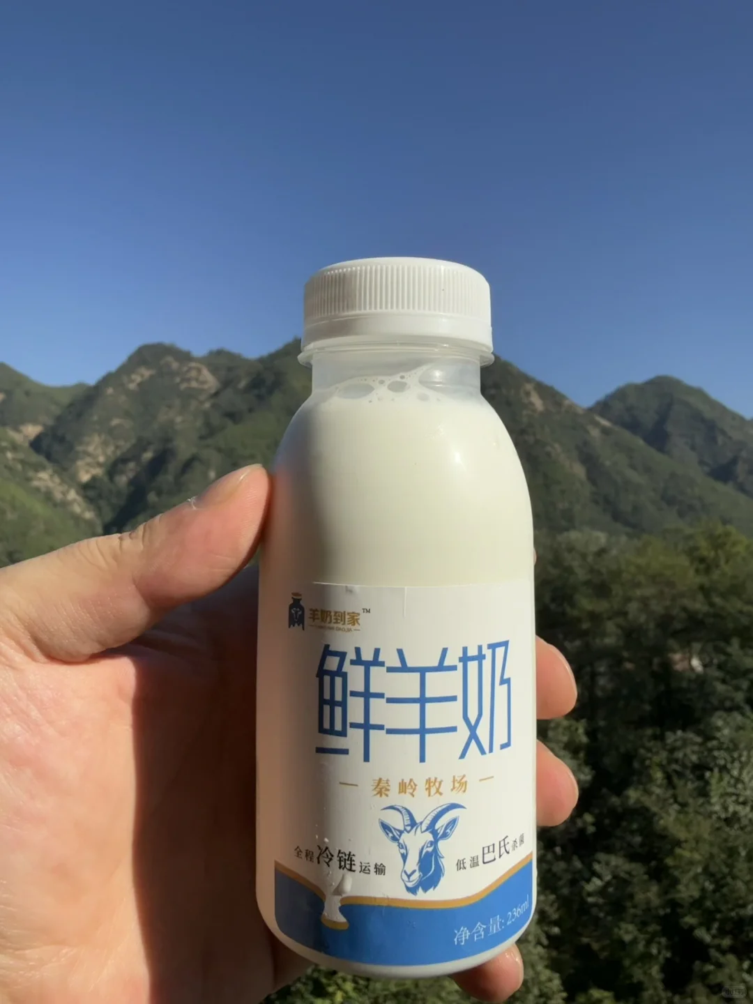 治