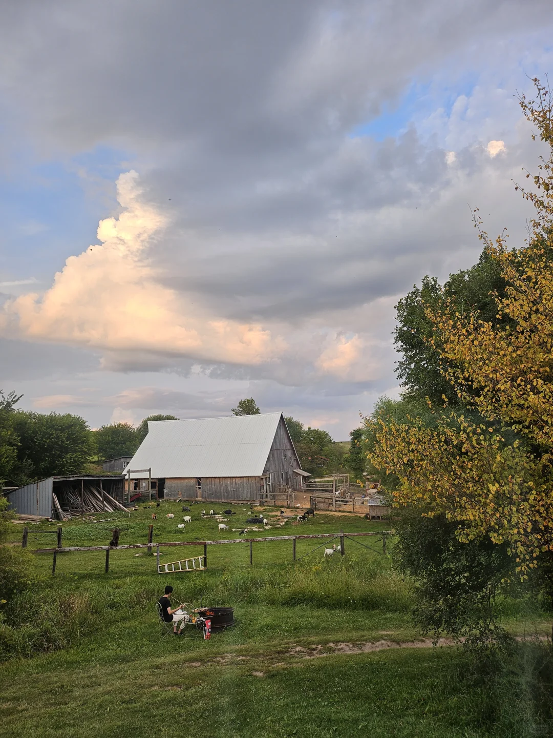 IowaũWindy Goat Acres