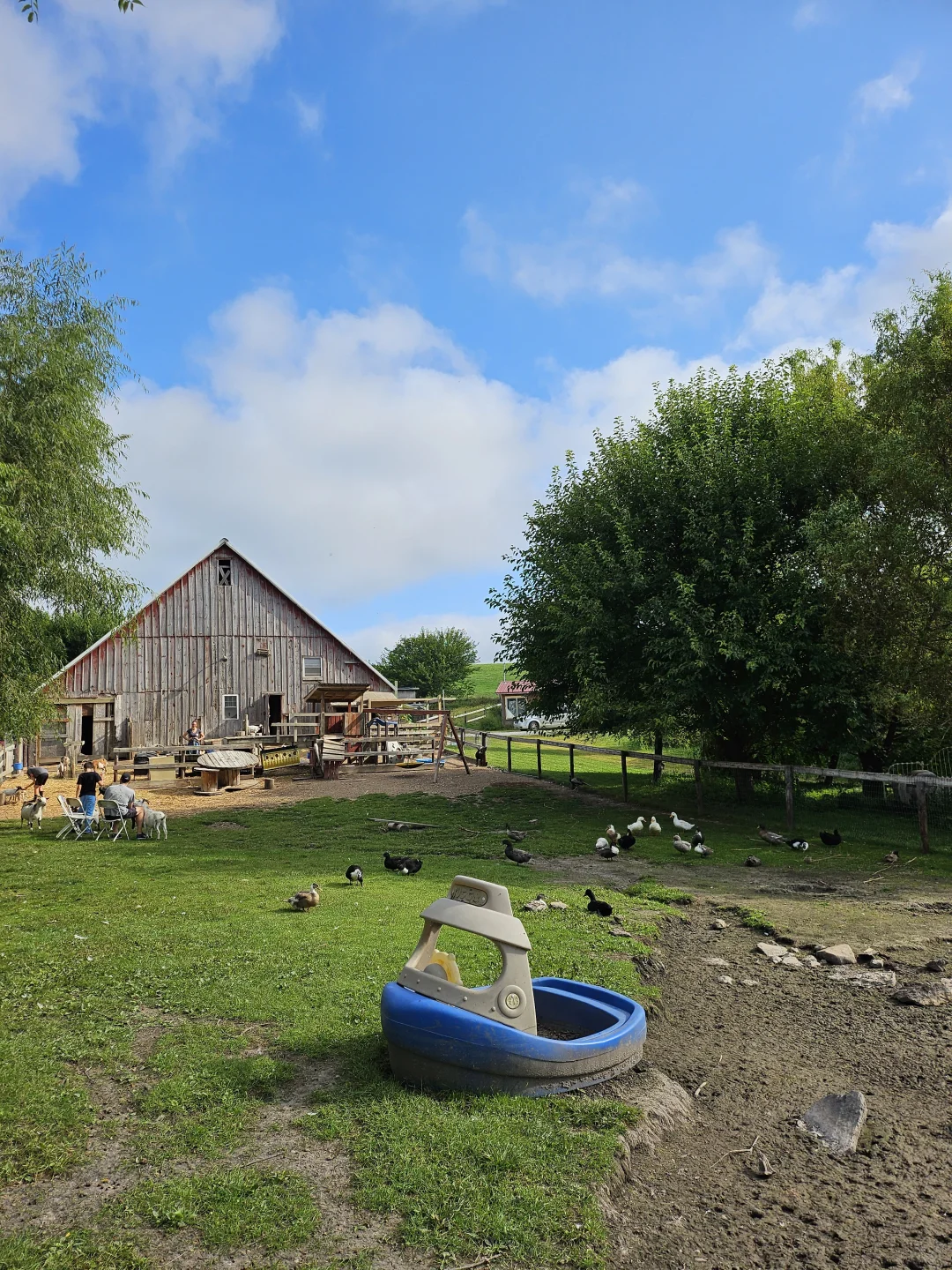 IowaũWindy Goat Acres