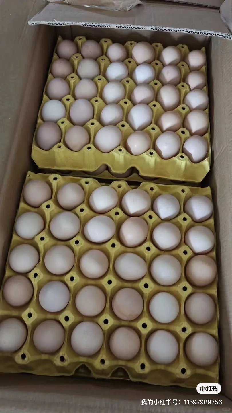 北京大量定采鸡蛋,出售鸡蛋
