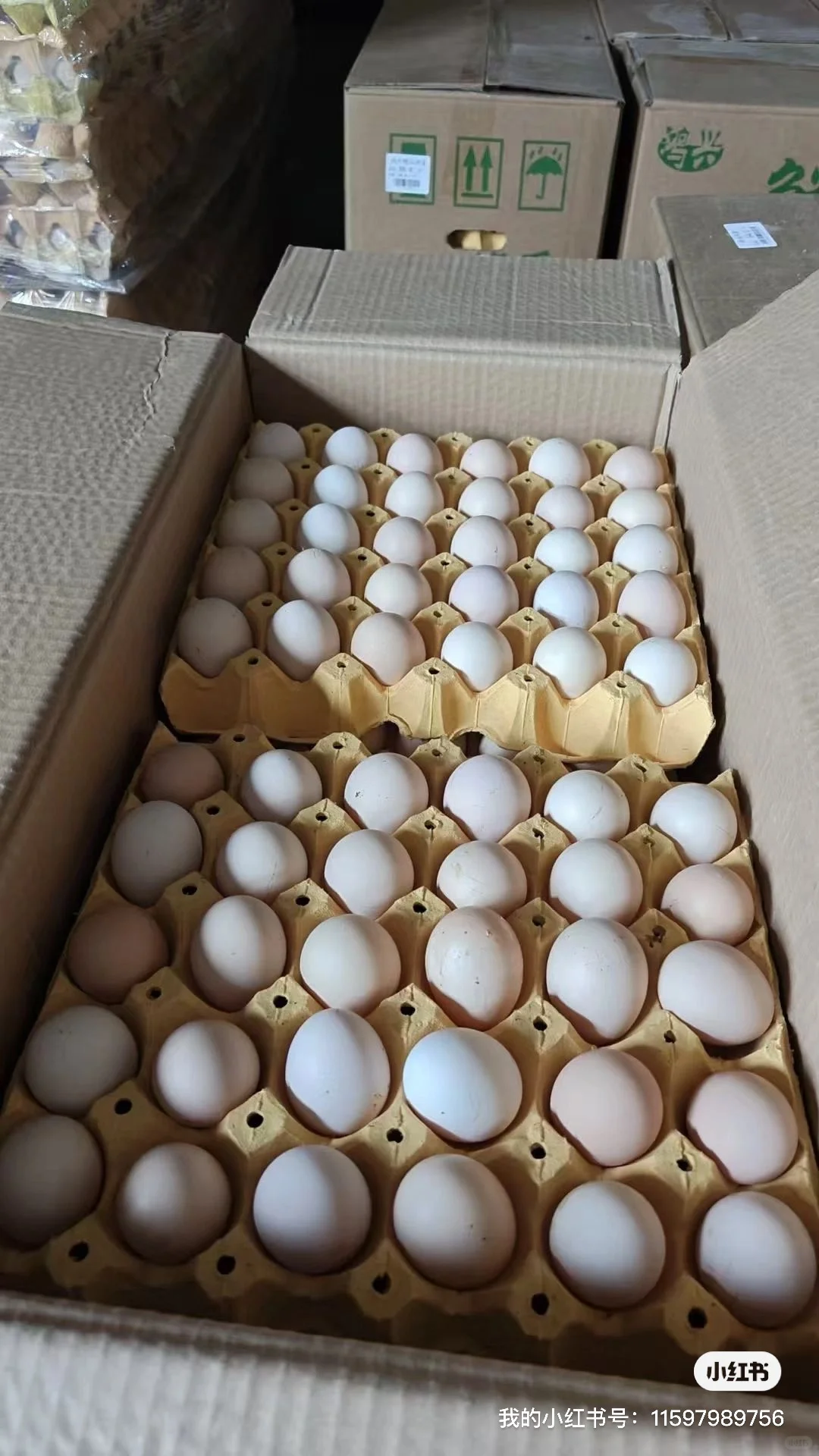 北京大量定采鸡蛋,出售鸡蛋