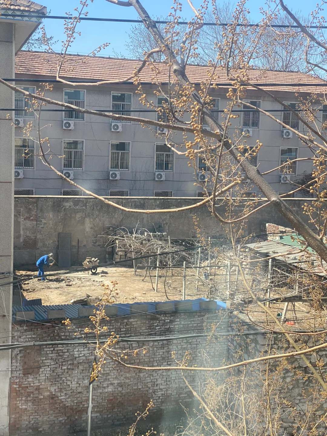 Ȧ