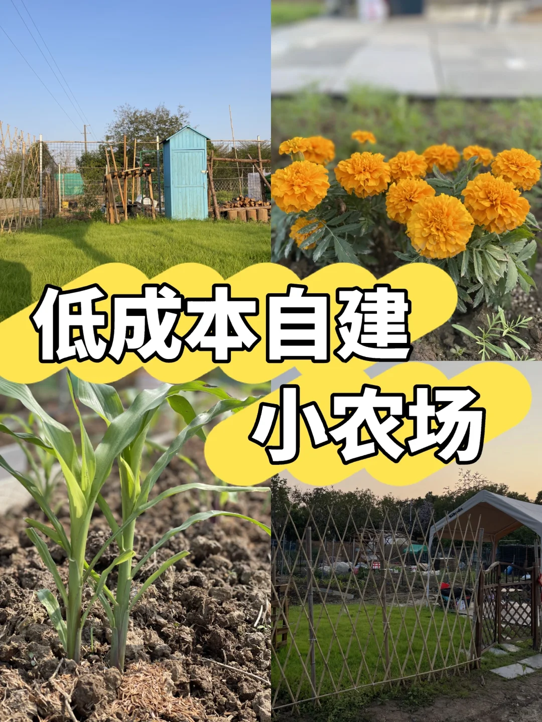У¾200+ԽСũ