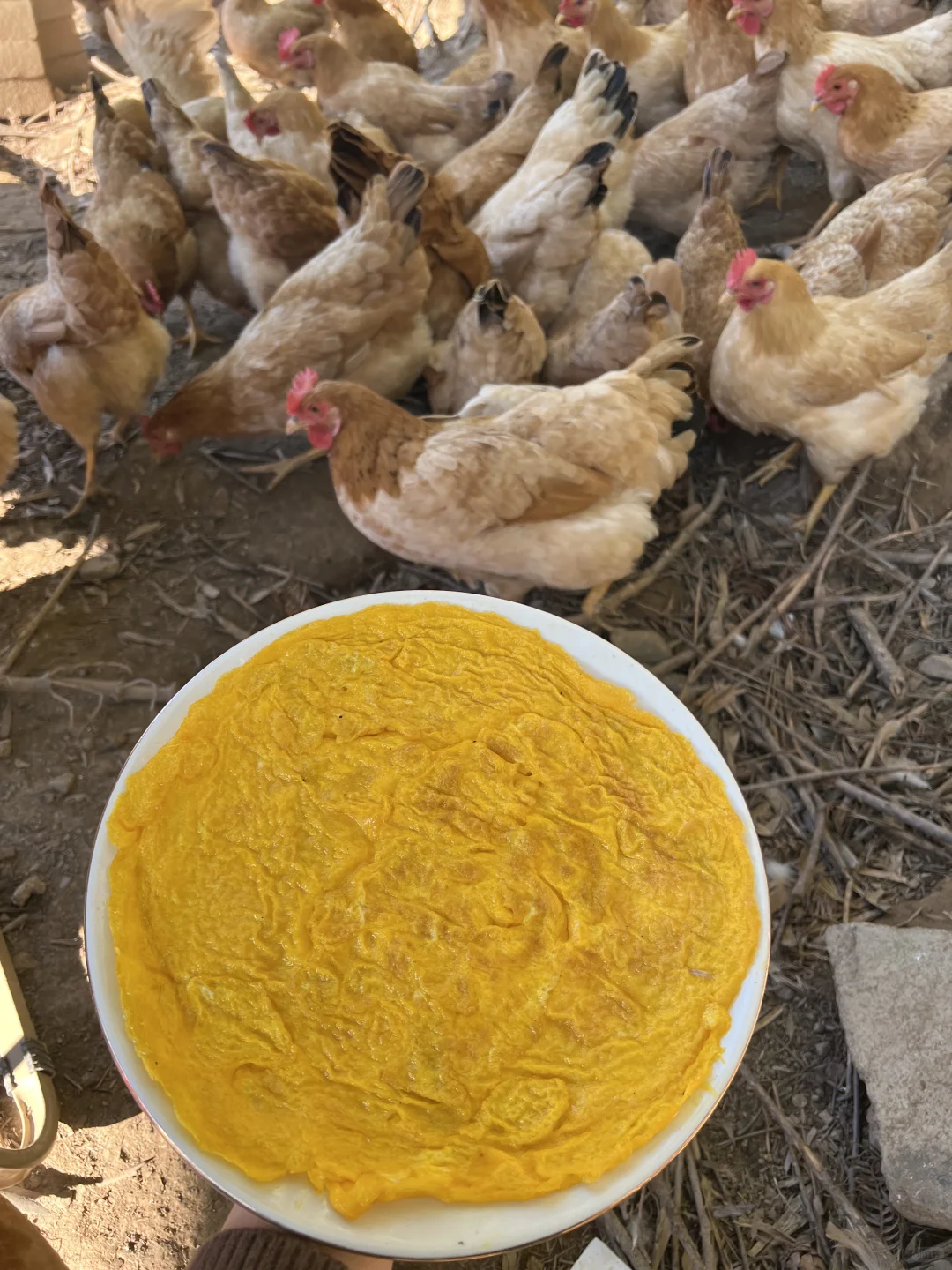 ˵ڳԲڵ