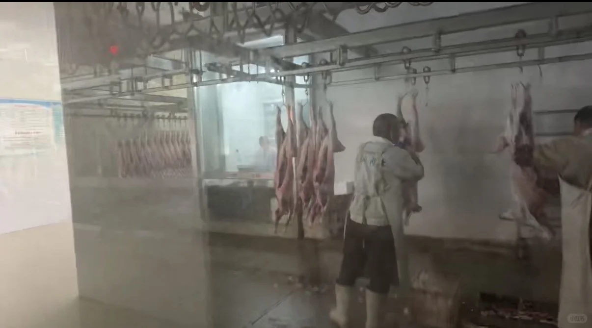 苏尼特买肉