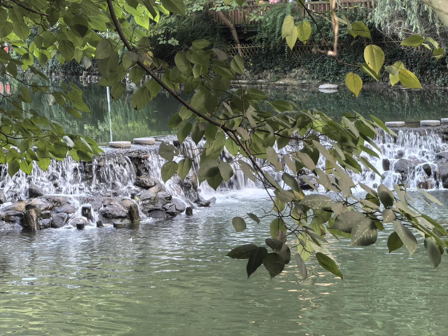 ڳǧկУһСް棩