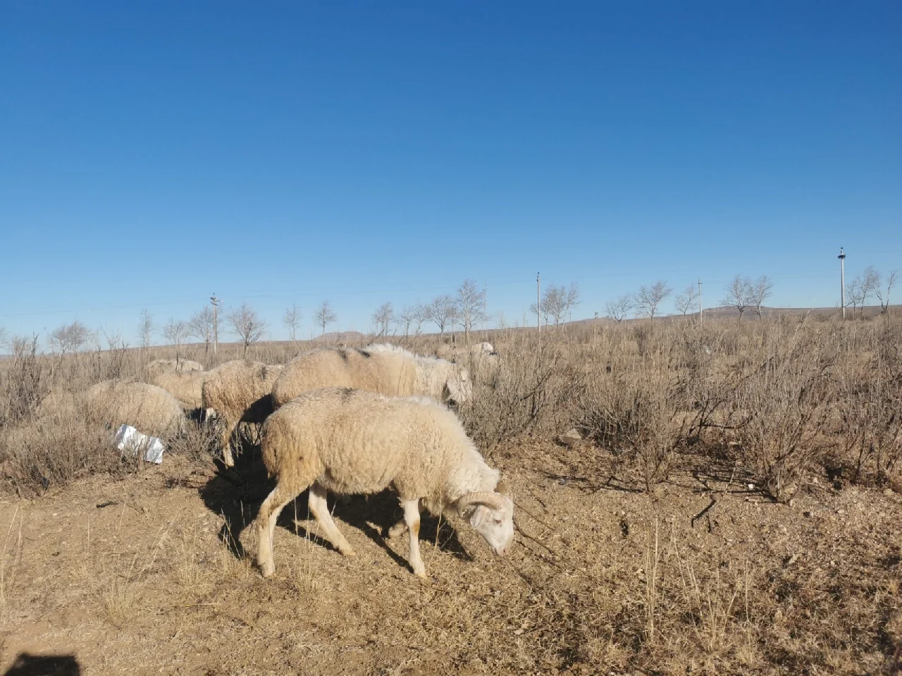 ����������������