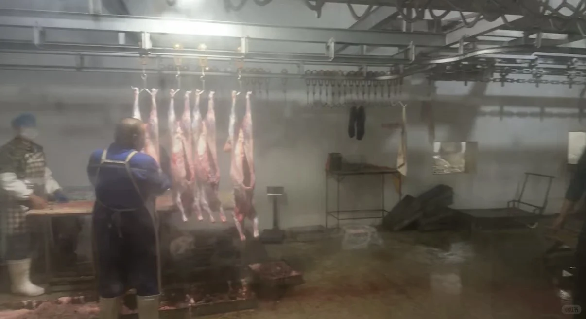 苏尼特买肉