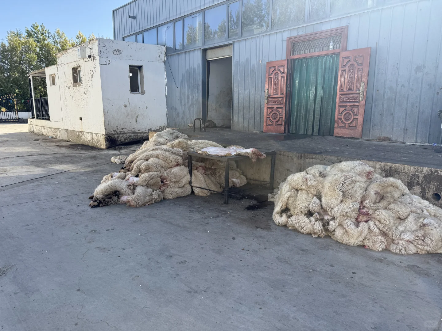 苏尼特买肉
