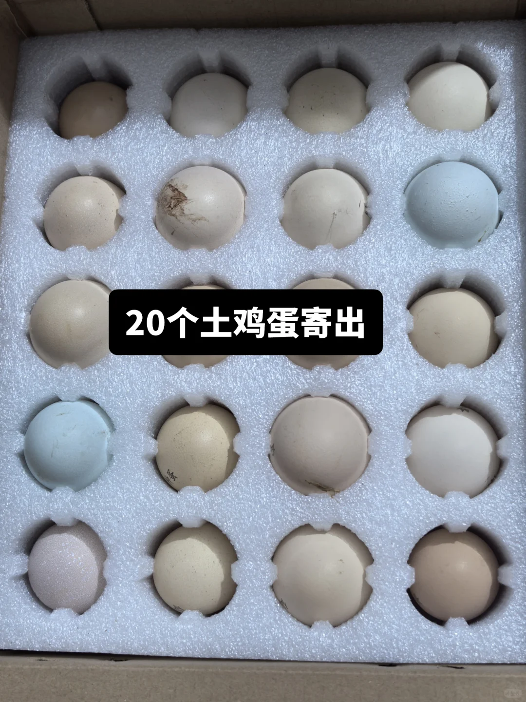 20ĳ