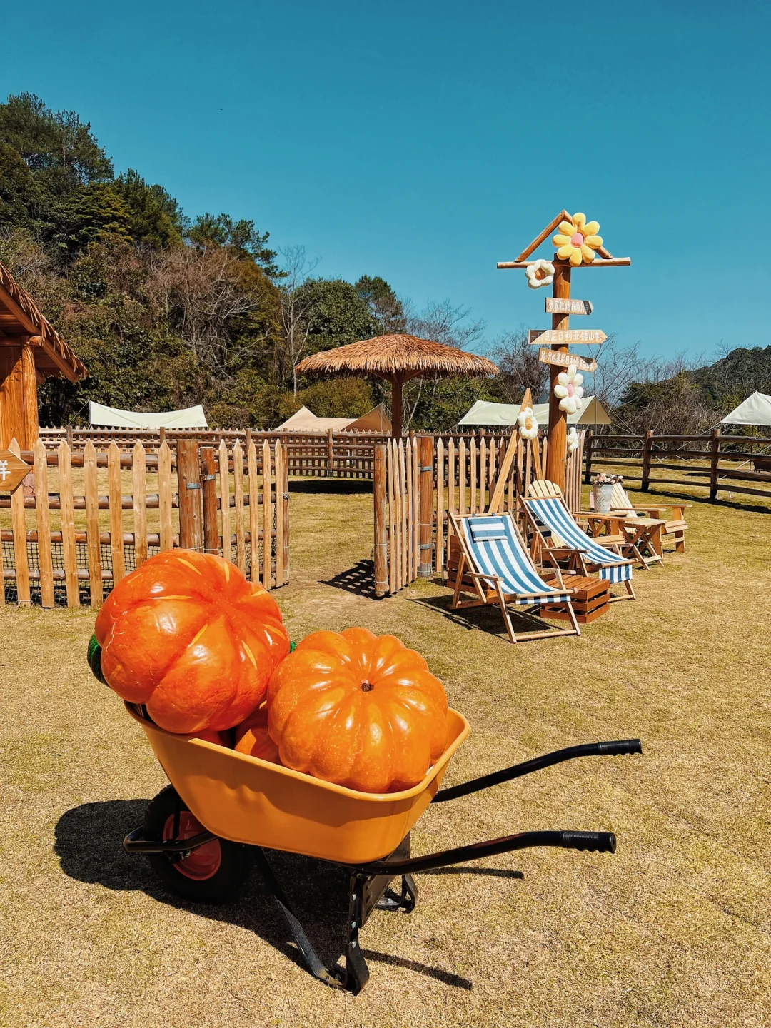 �����Ǹ���������ɭ������