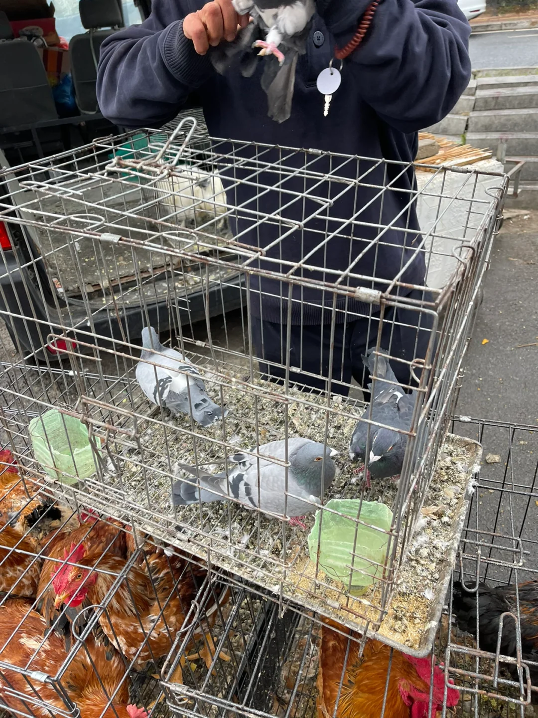 长春买牛肉的地方