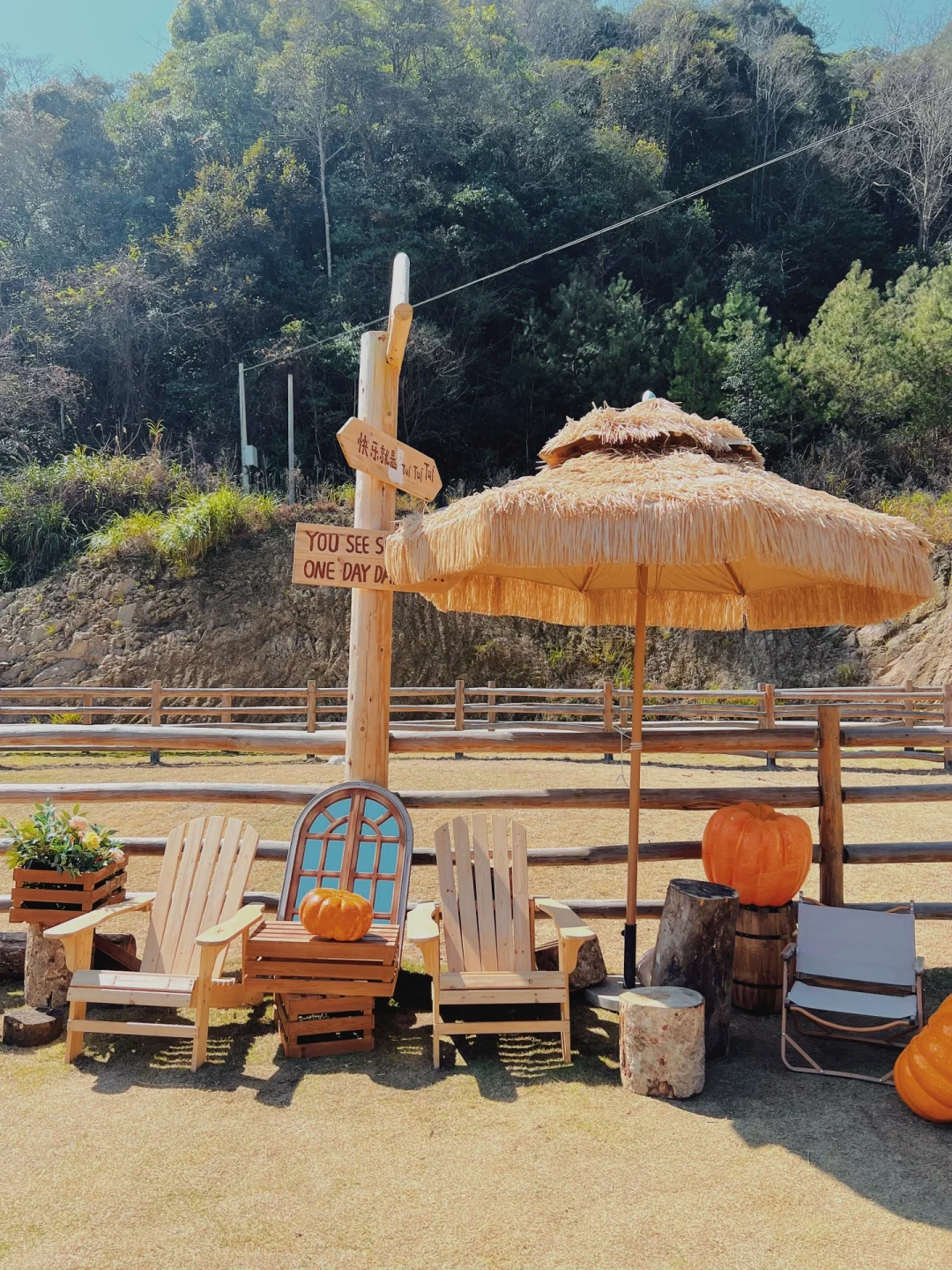 �����Ǹ���������ɭ������