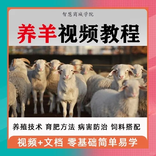 养羊技术大全视频教程饲养养殖资料