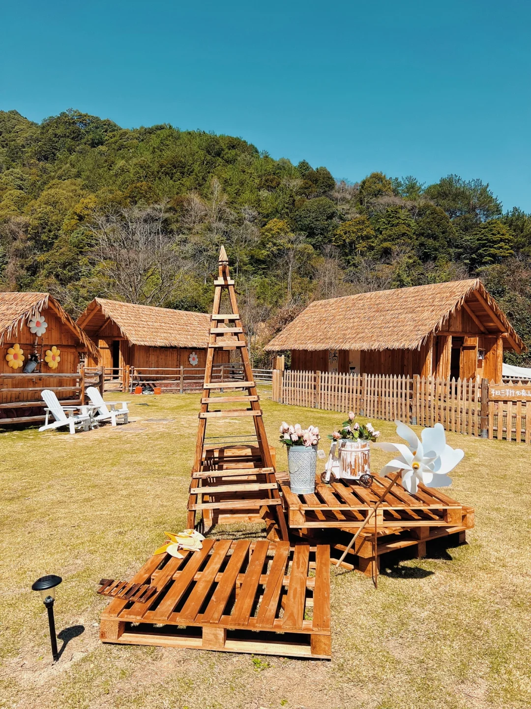 �����Ǹ���������ɭ������