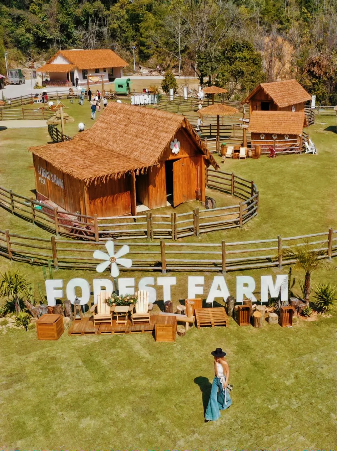 �����Ǹ���������ɭ������