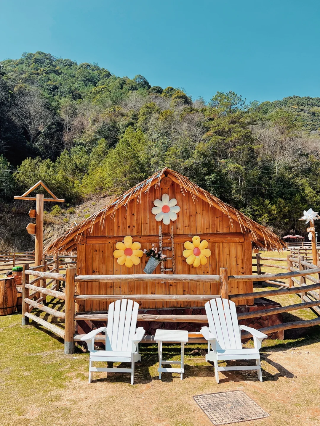 �����Ǹ���������ɭ������