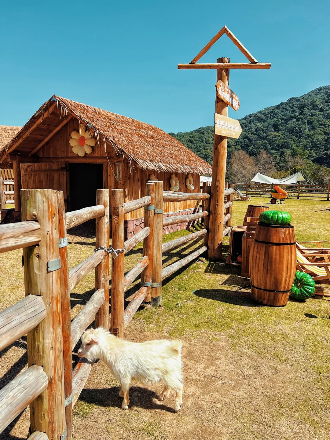 �����Ǹ���������ɭ������