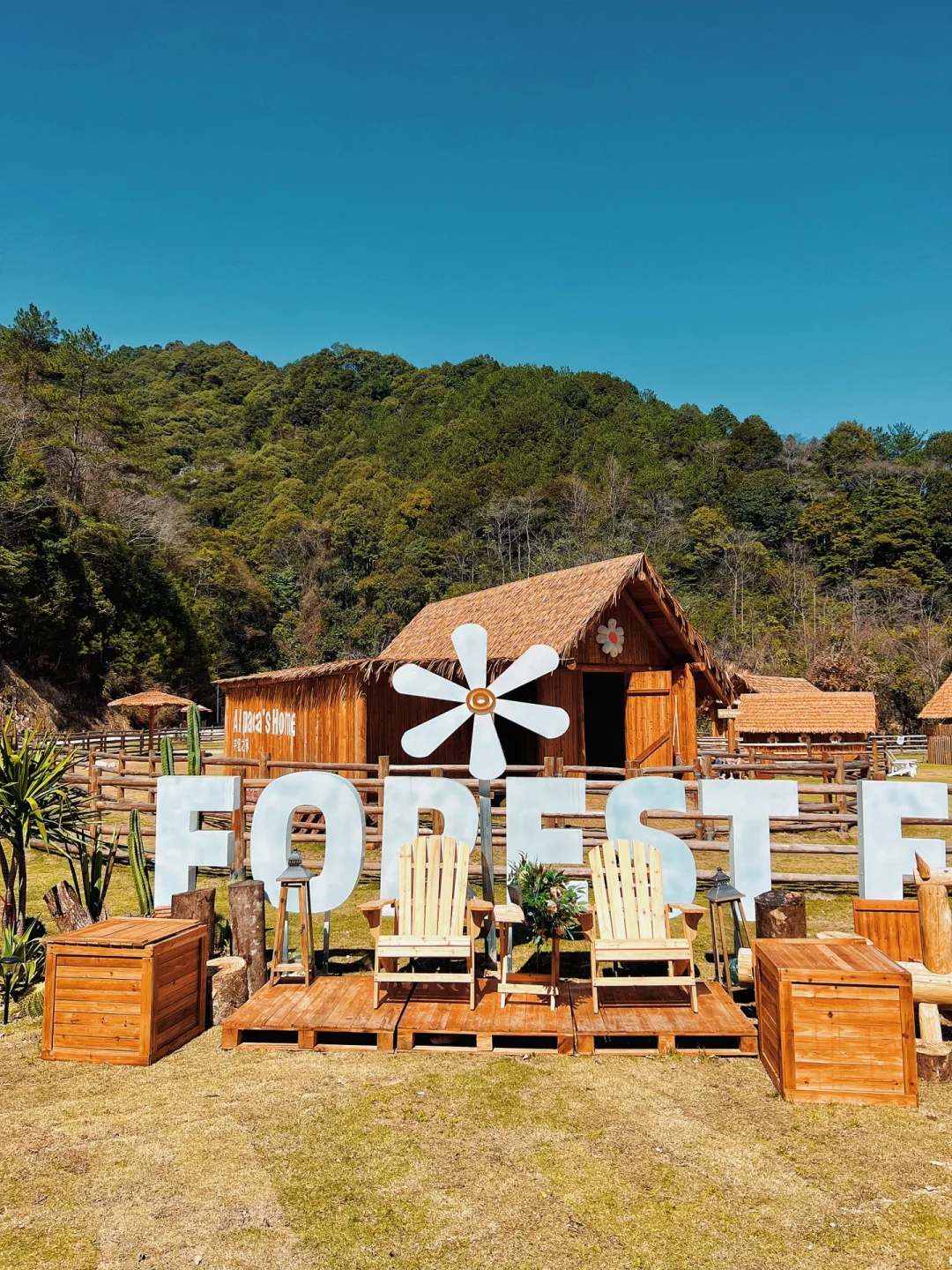 �����Ǹ���������ɭ������