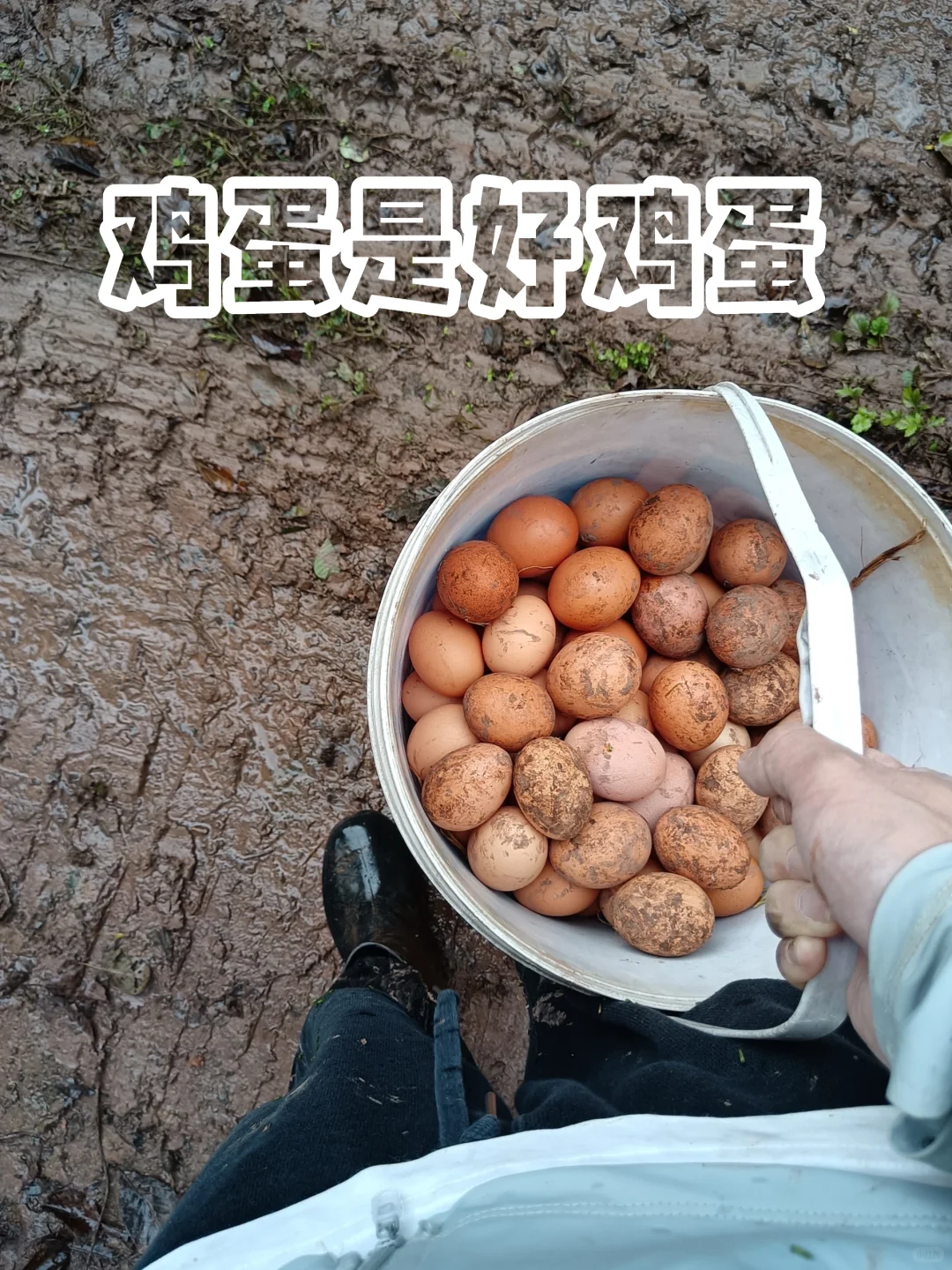 ǺüǼ۸񲻱