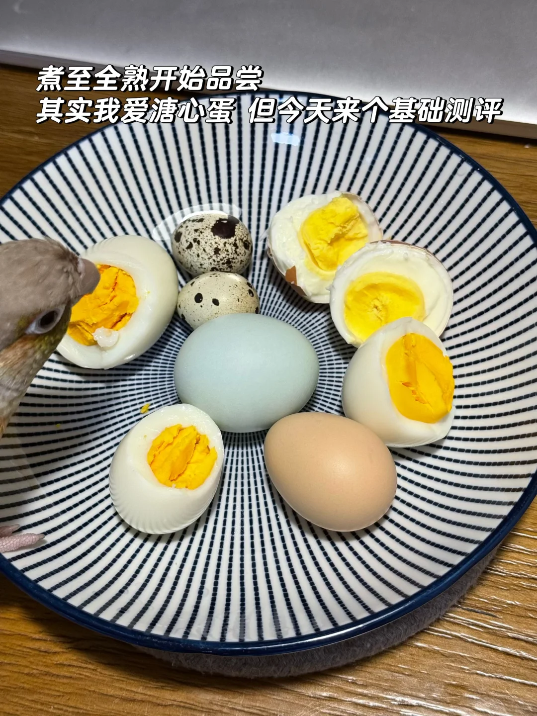 鸡蛋爱好者的鸡蛋测评