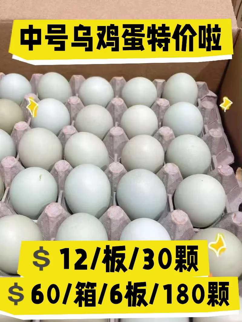 ؼ۳壡̿ڼ桤ӪԼ۱