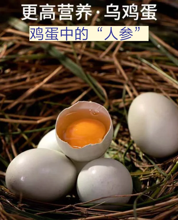 ؼ۳壡̿ڼ桤ӪԼ۱