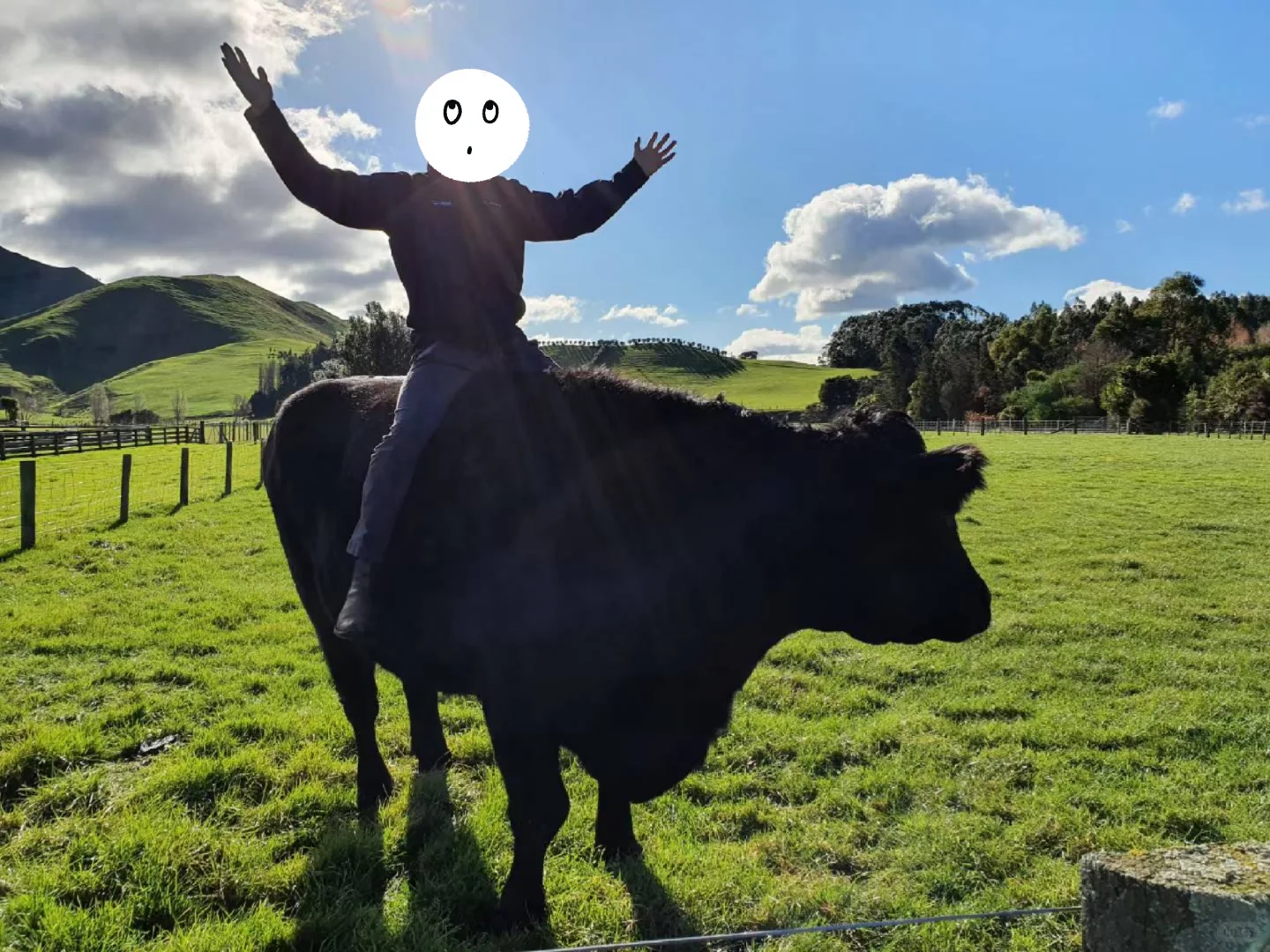 һѪ޹Ͷ