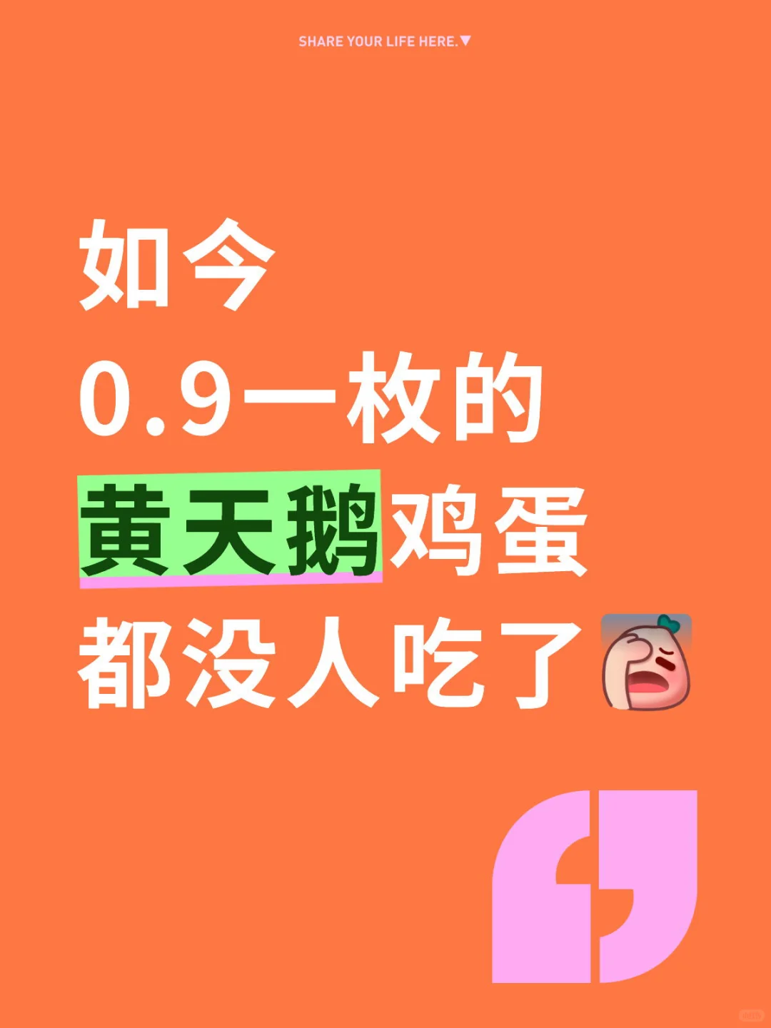 ͷû˳Ի켦