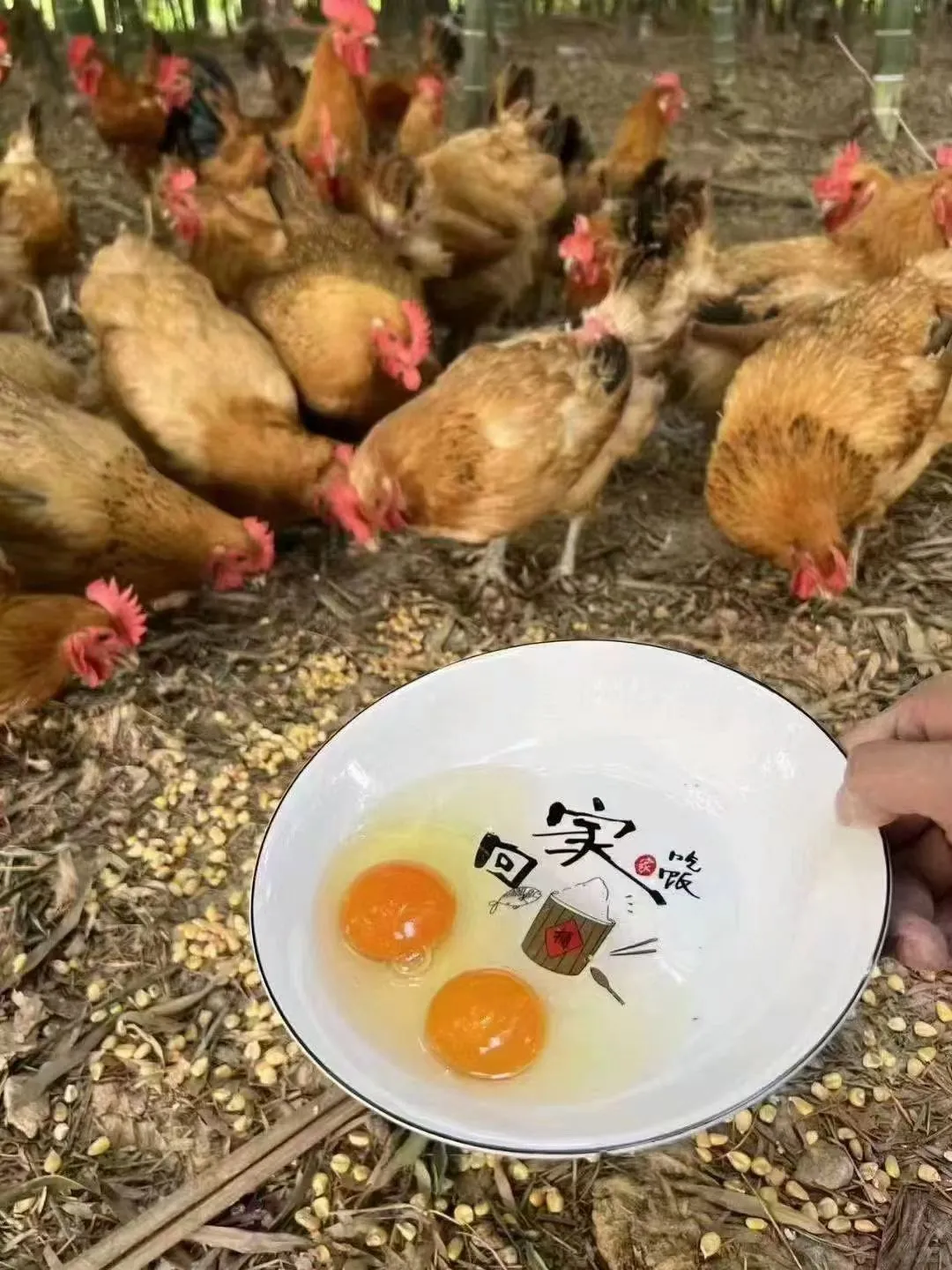 һǮһʲô