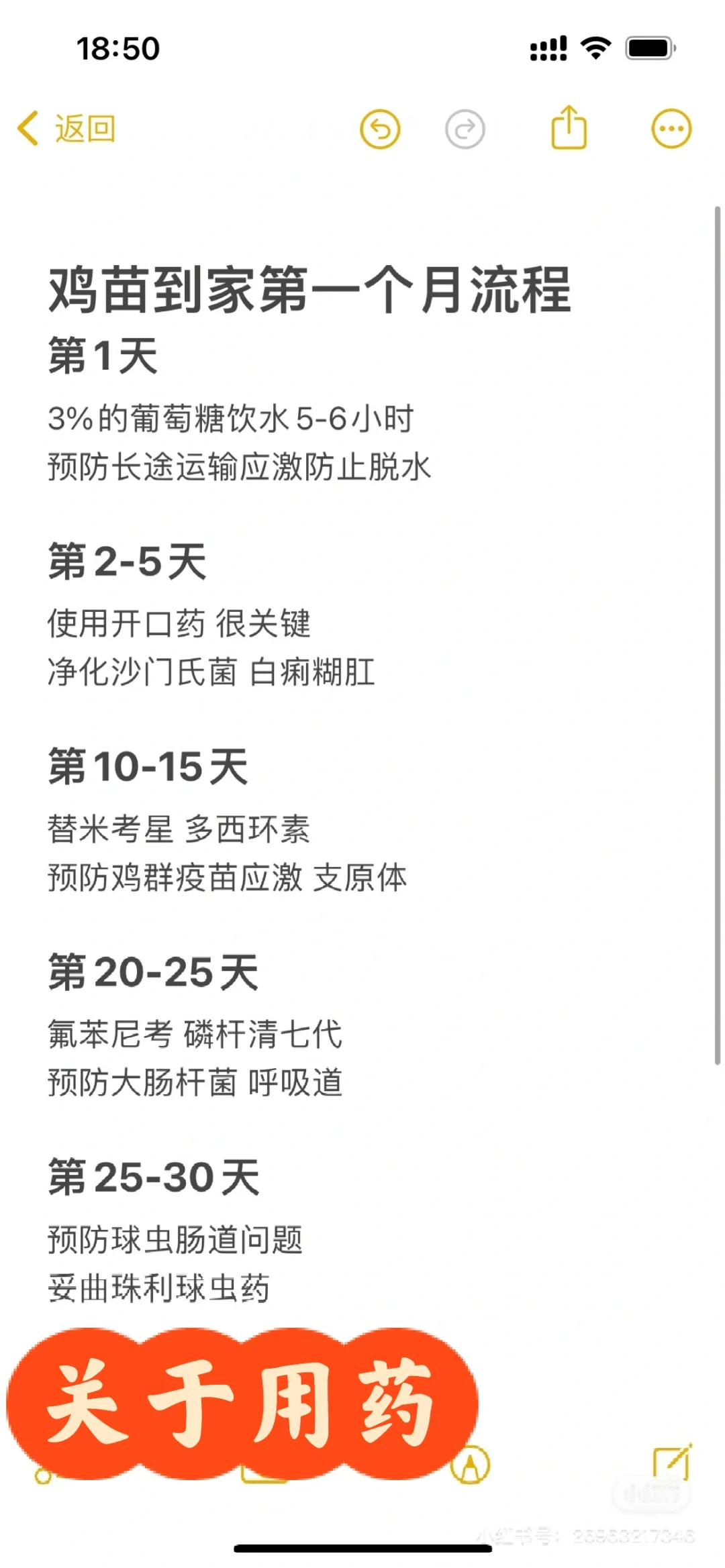 ʼ棩ȫһ£Լ