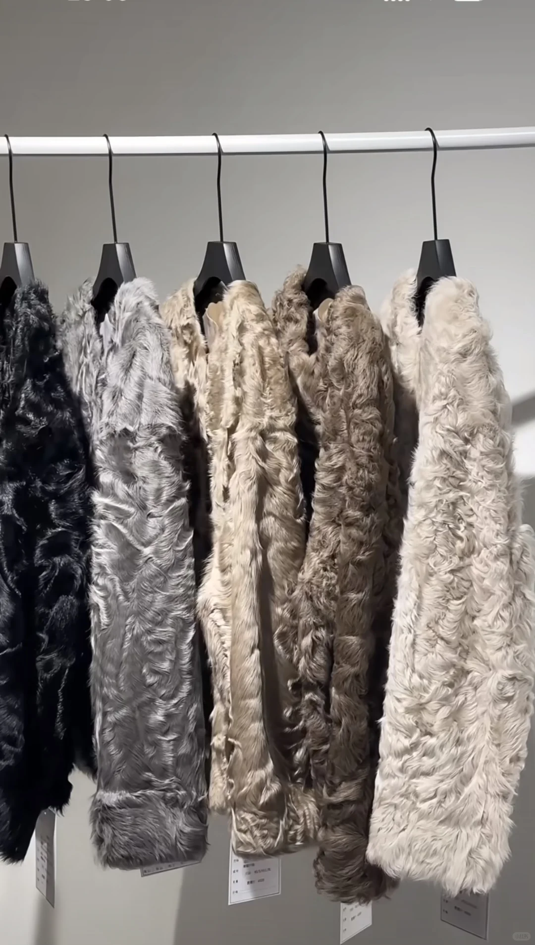 好美的小湖羊!但是我又圣母心了?