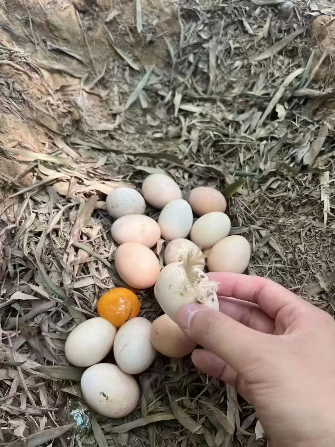 һǮһʲô