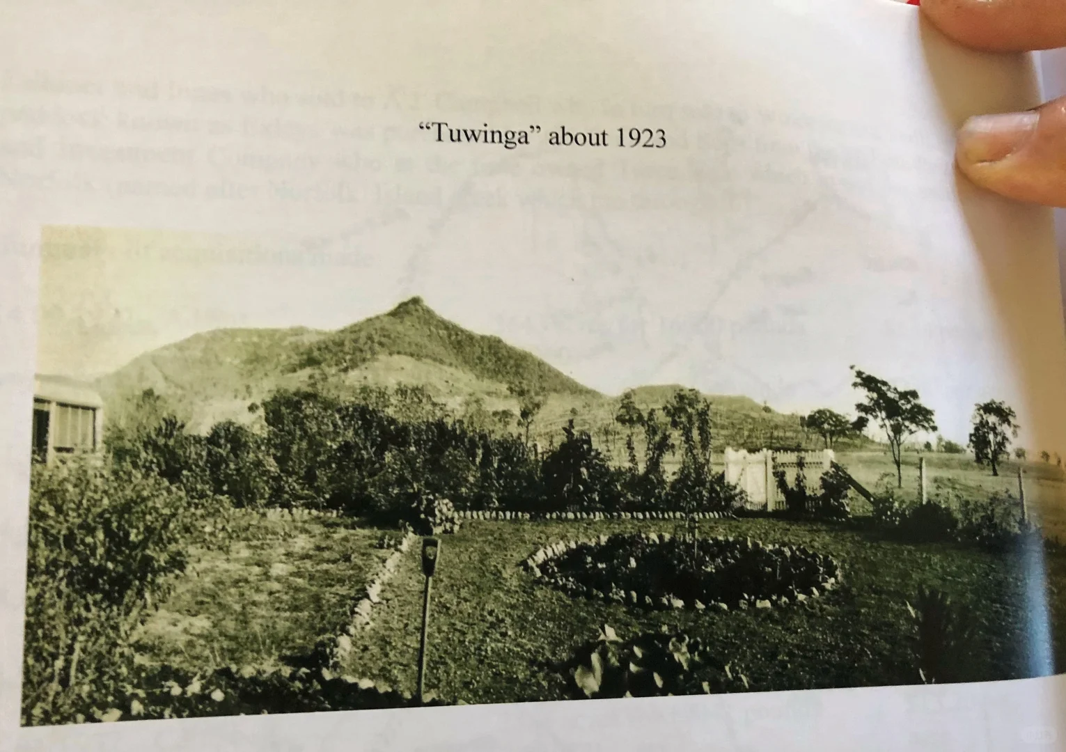 买了7000公顷牧场养牛 7年了