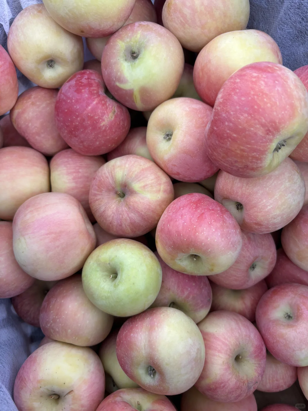 河北保定小县城大集