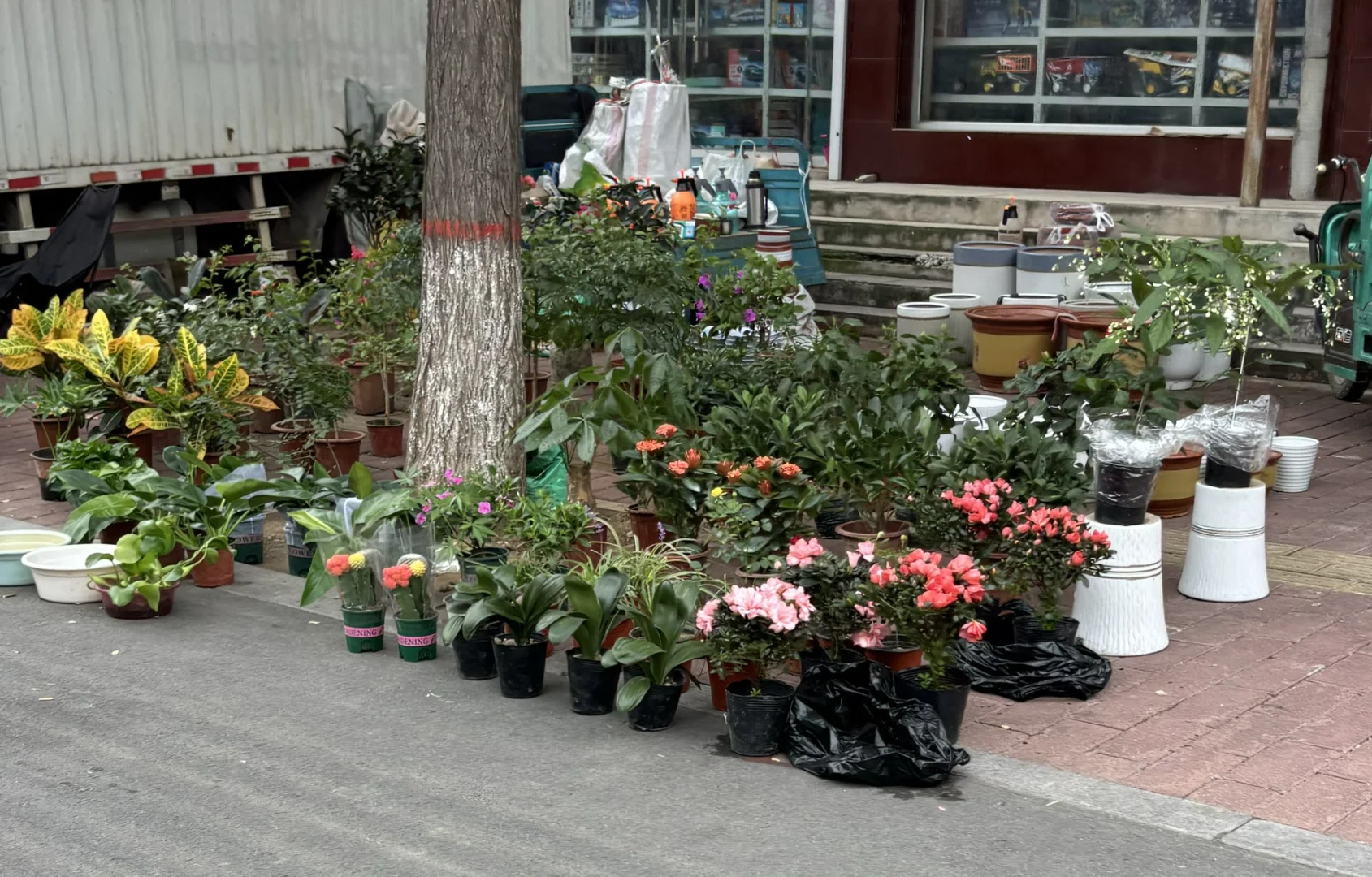 河北保定小县城大集