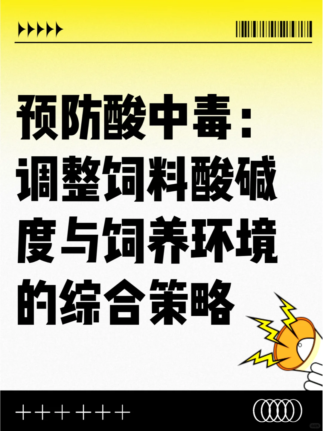 养牛羊必看 | 预防酸中毒 “秘籍” 来咯