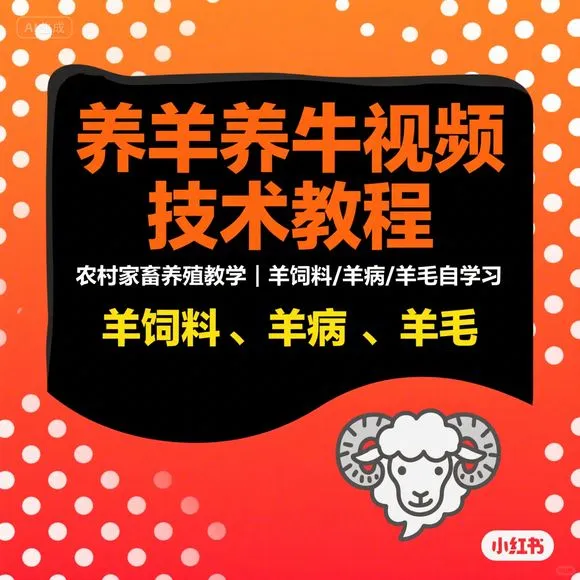 养羊技术教程-农村家畜养殖自学习