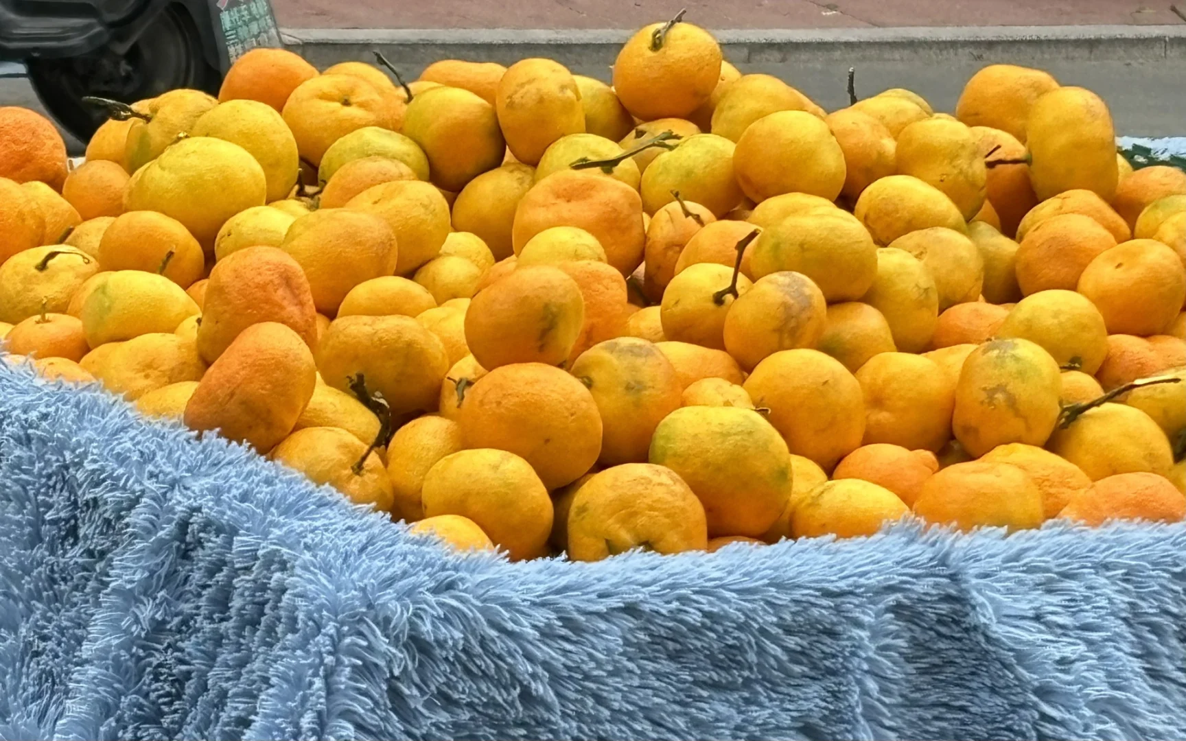 河北保定小县城大集