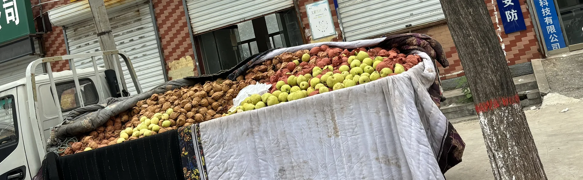 河北保定小县城大集