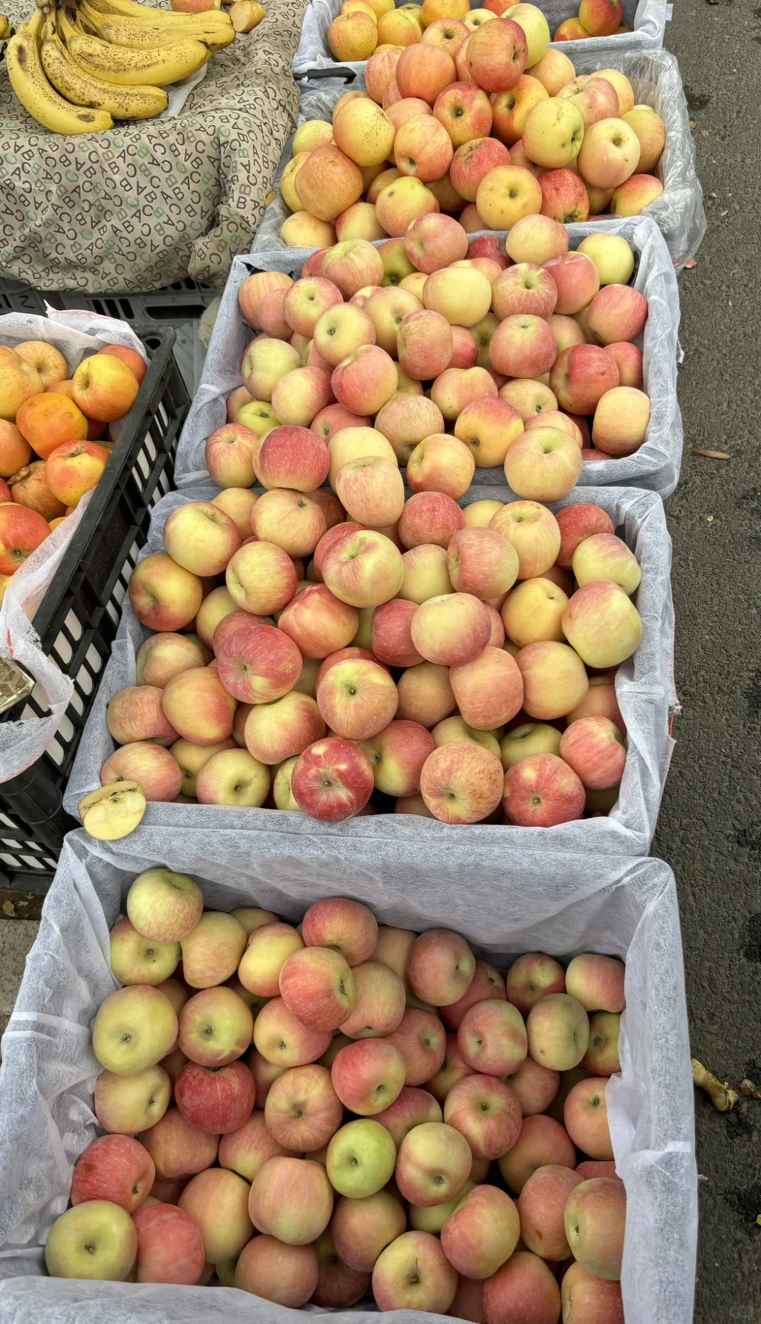 河北保定小县城大集