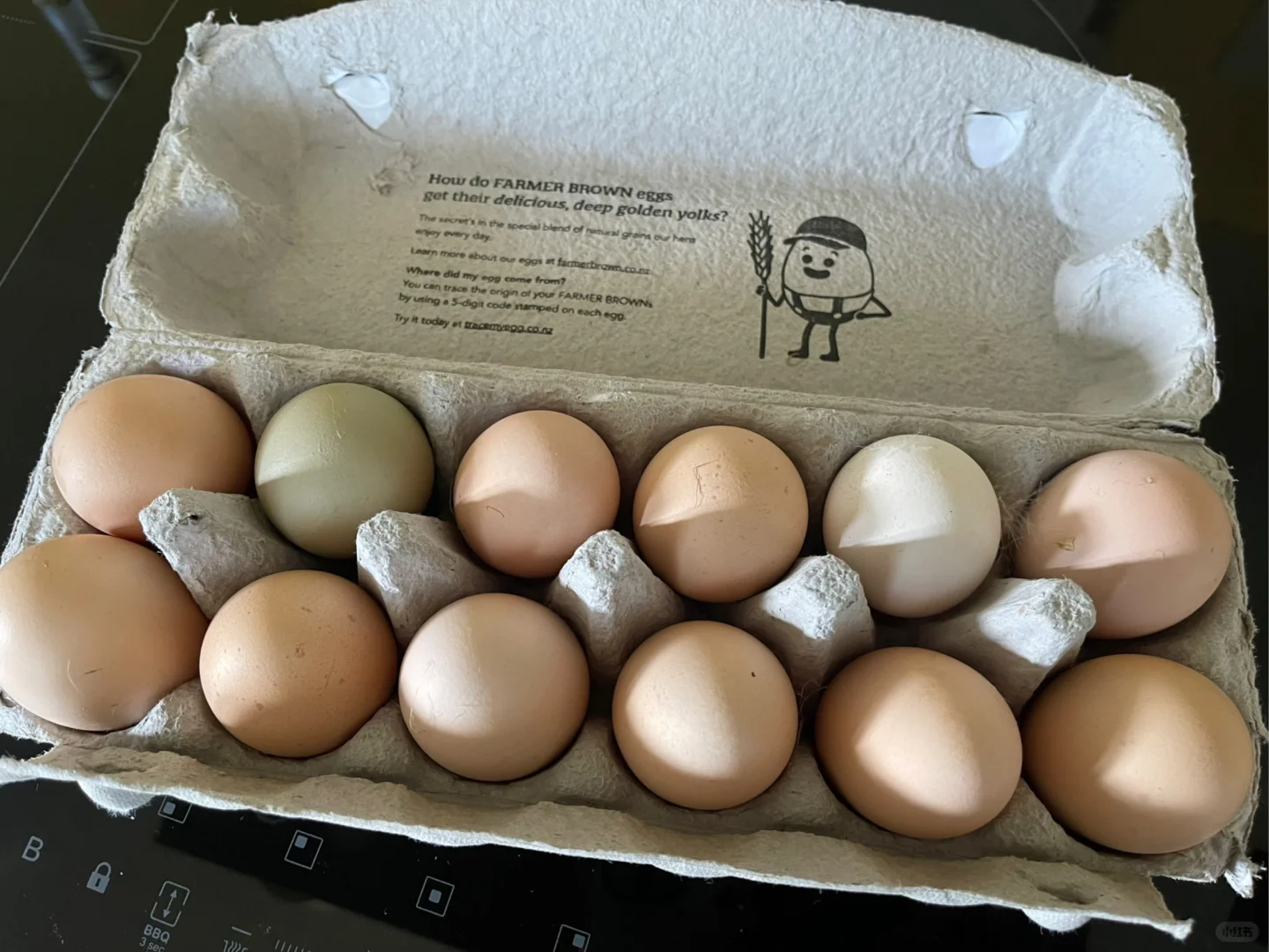 基督城出走地鸡蛋?