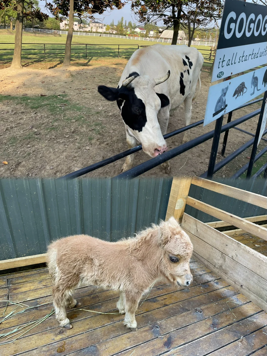今天当一天农场主??湖州 趣农场