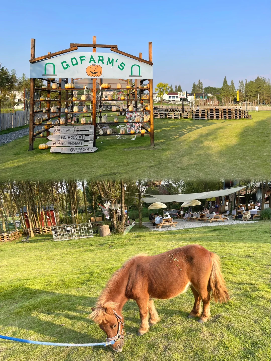 今天当一天农场主??湖州 趣农场