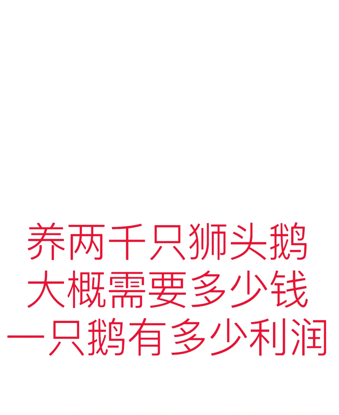 养两千只狮头鹅大概需要多少钱