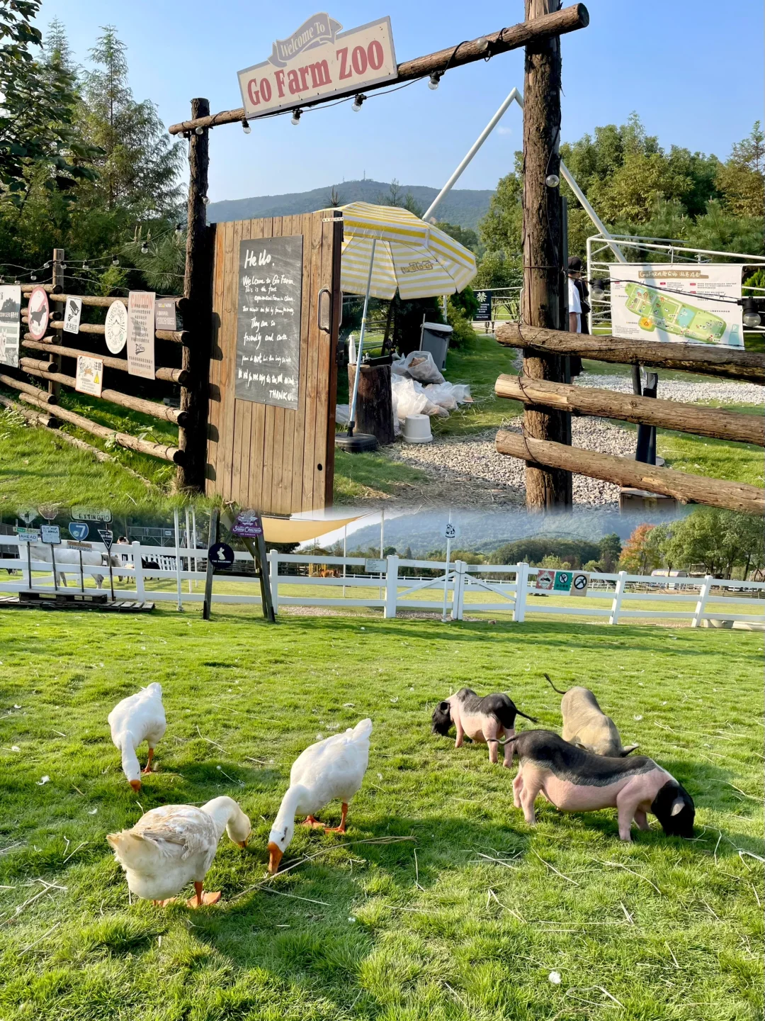 今天当一天农场主??湖州 趣农场