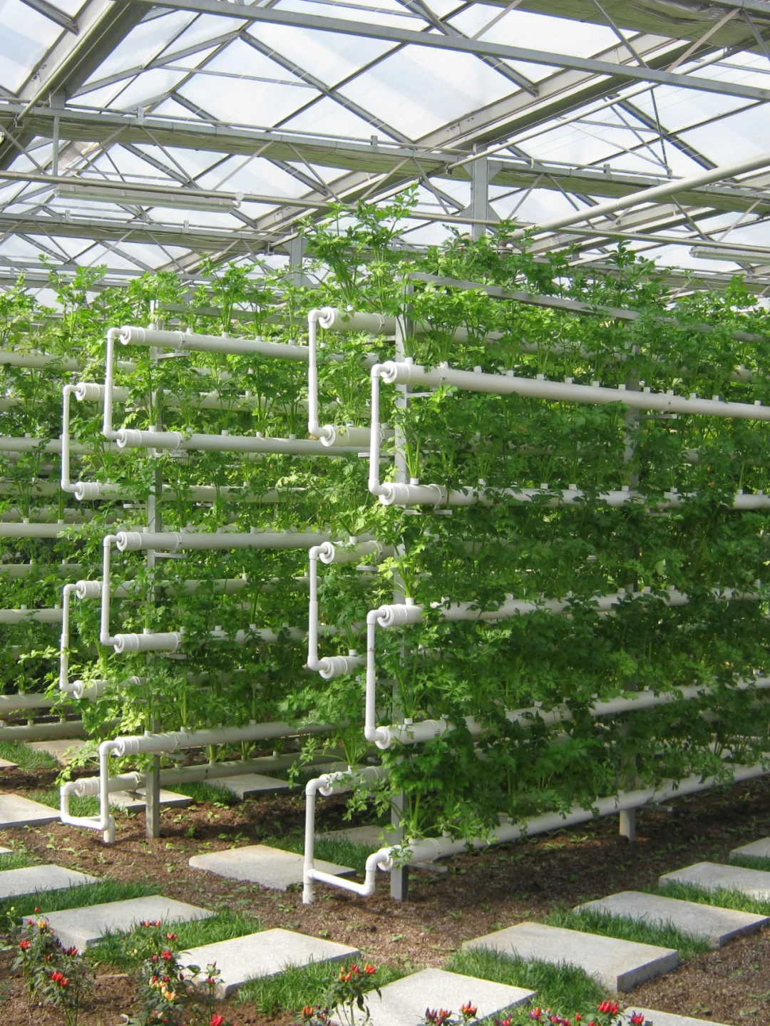 立体种植,植物工厂